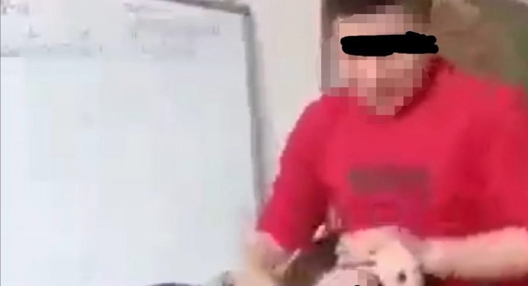 profesoara hartuita