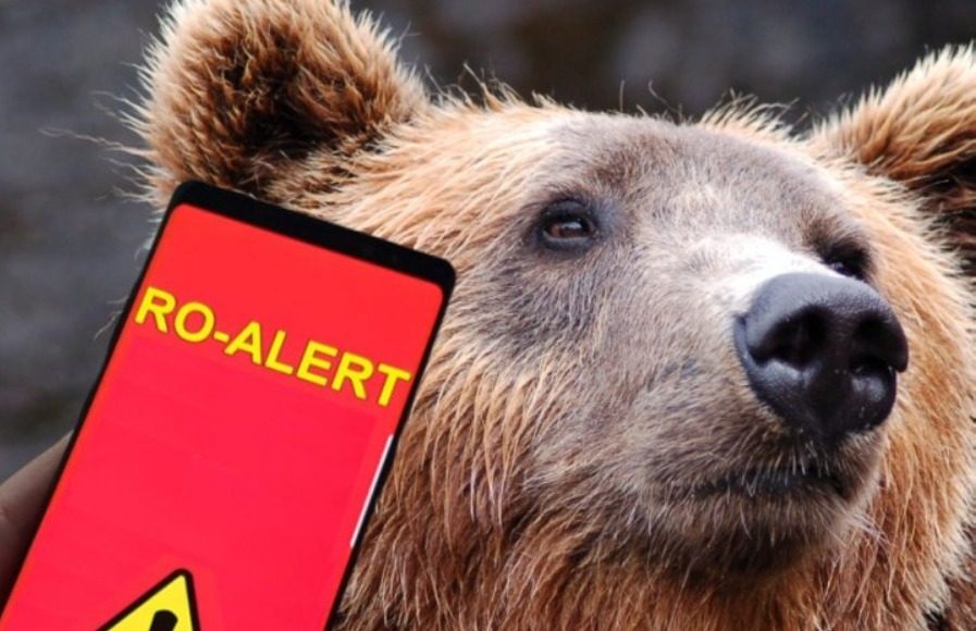 ro alert urs