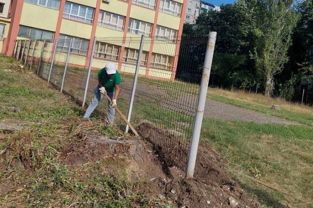 scoala emil palade ploiesti