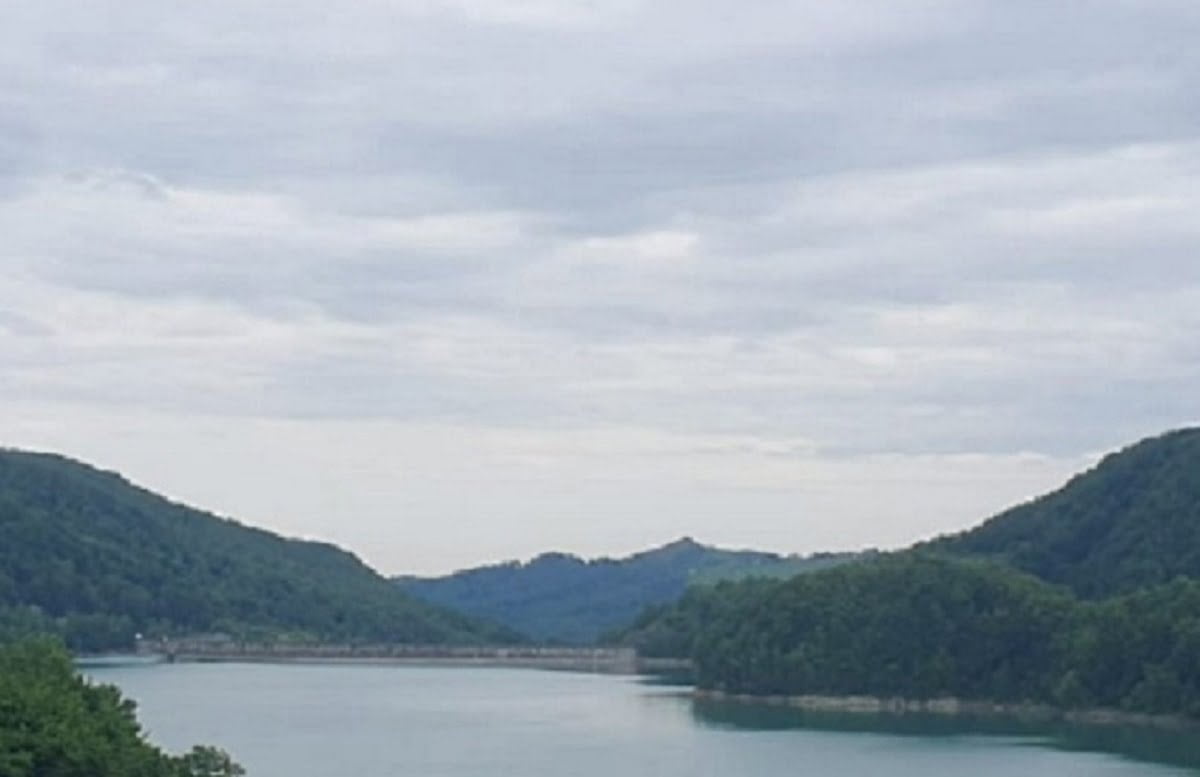 Paltinu