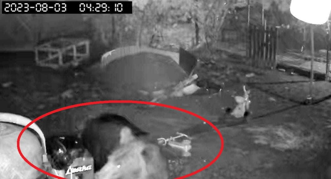 urs gopsodarie