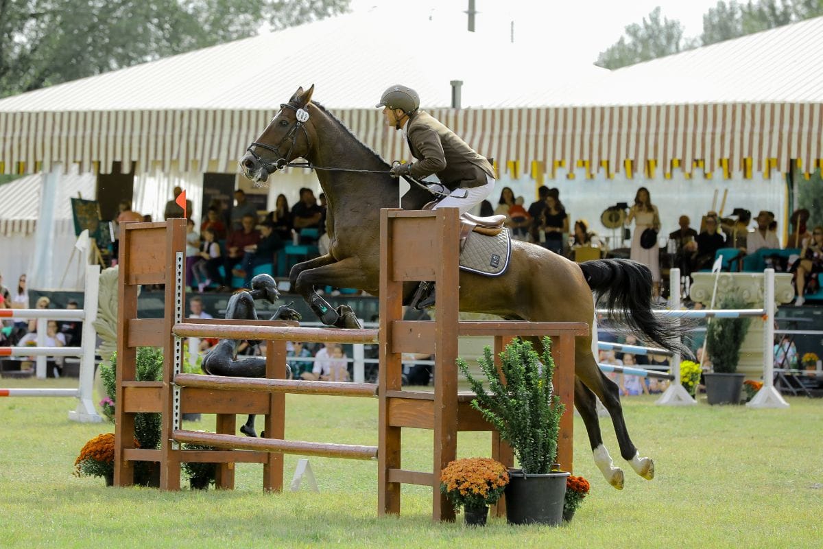 Karpatia Horse Show 2023