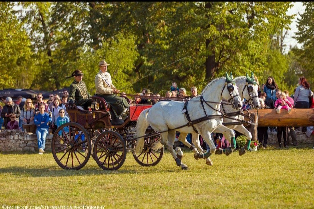 Karpatia Horse Show 2023