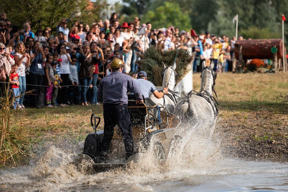 karpathia horse show