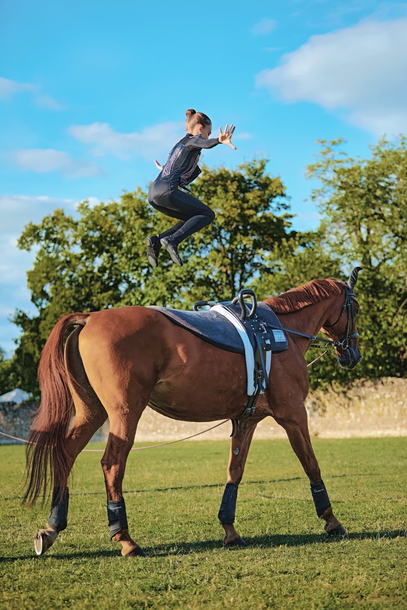 Karpatia Horse Show 2023
