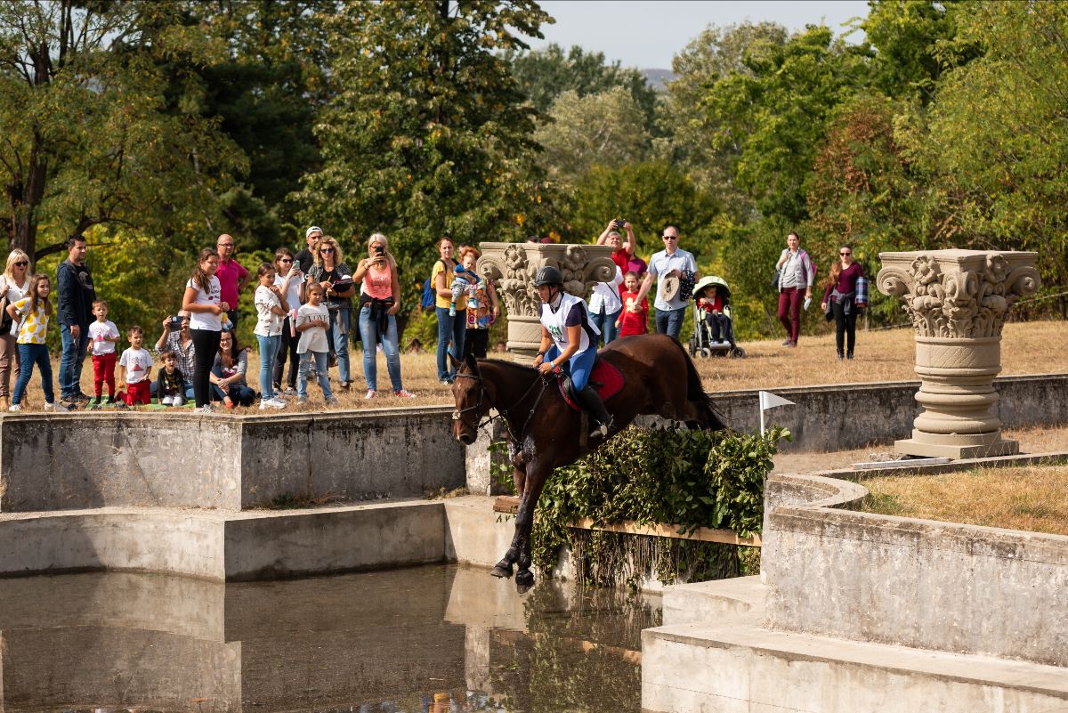 karpathia horse show