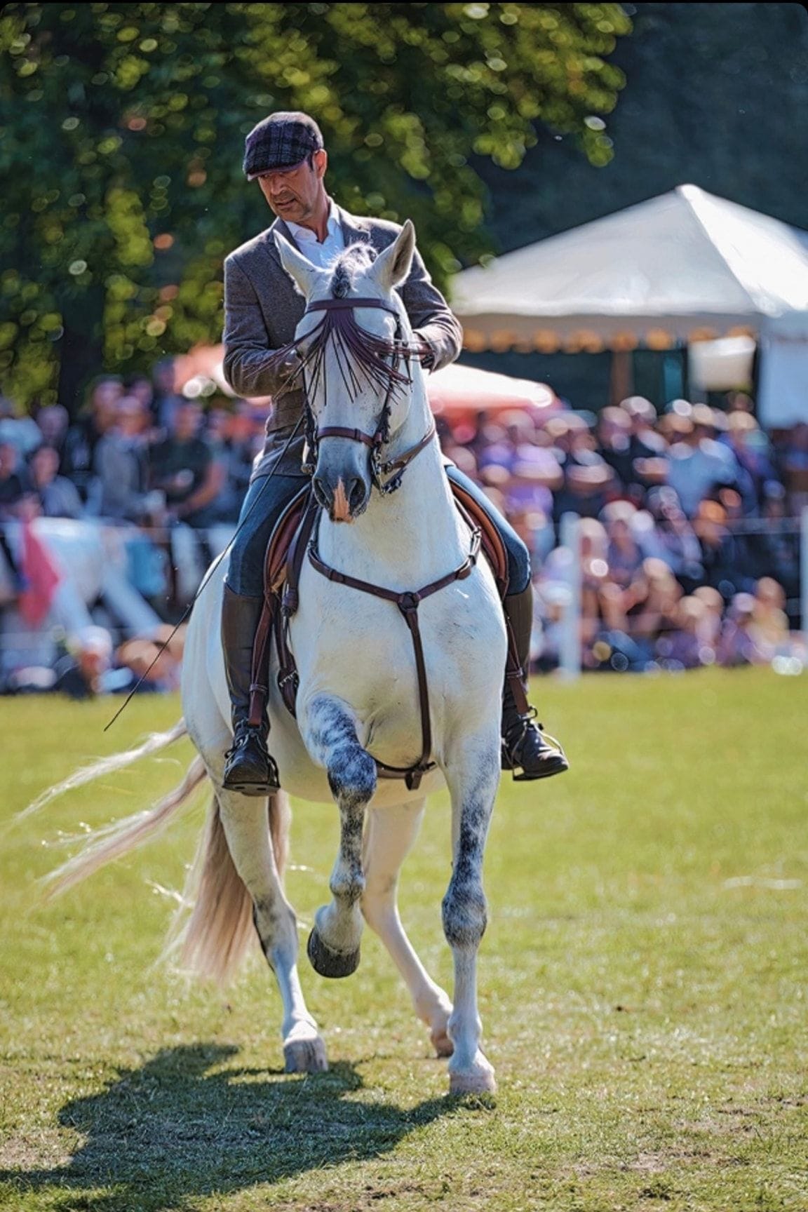 Karpatia Horse Show 2023