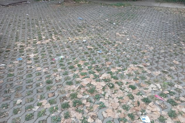 gunoi cresa 23 ploiesti