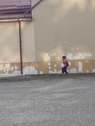 curte palatul copiilor ploiesti