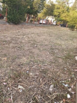 curte palatul copiilor ploiesti