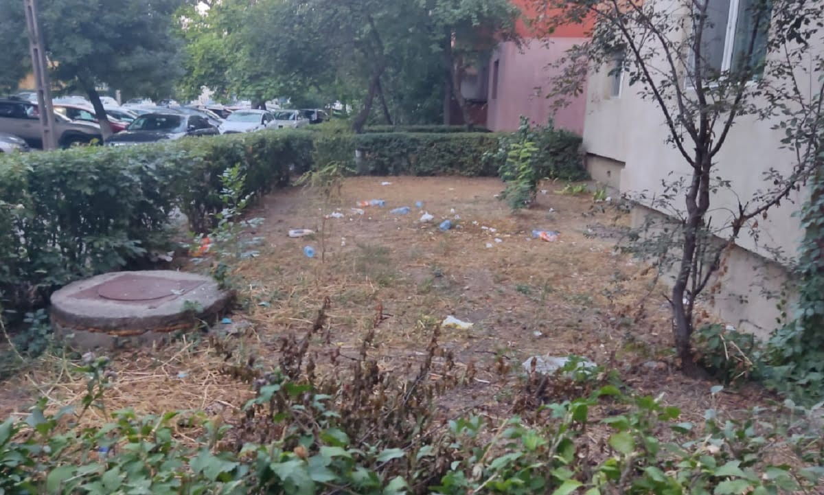 gunoaie in gradina blocului