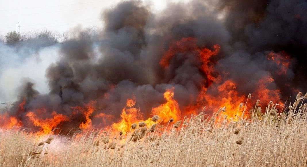 Incendiu venetație - foto cu caracter ilustrativ