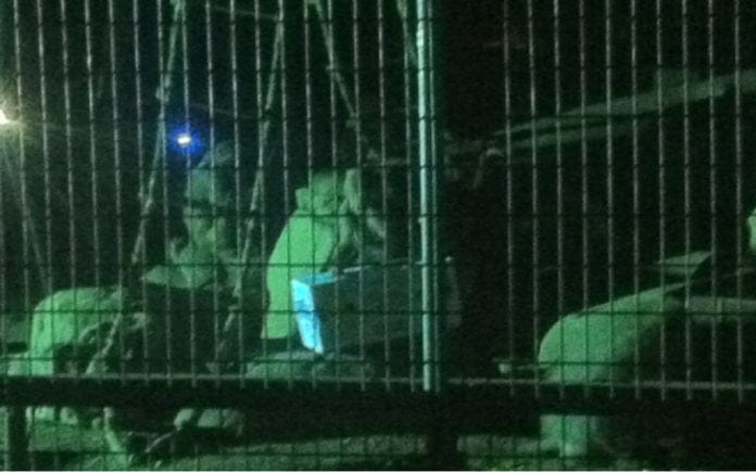 animale Zoo