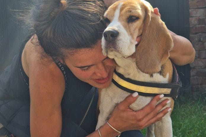 ozzy caine pierdut bucegi