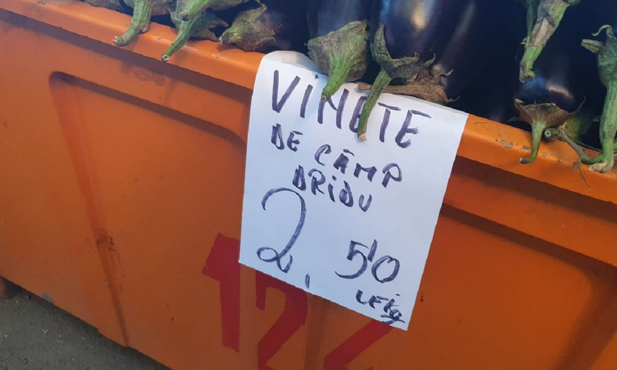vinete