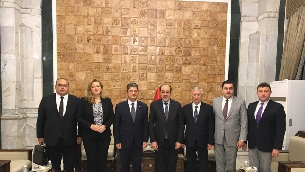 vizita irak roberta anastase