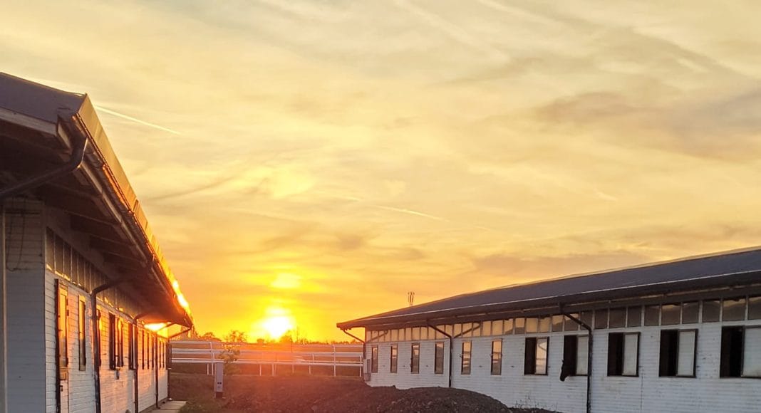asfalt hipodrom