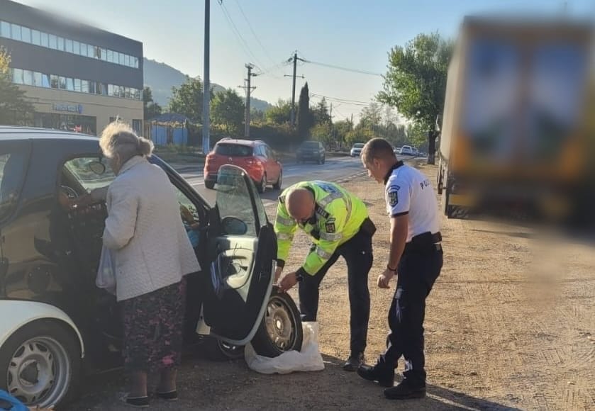 politisti pana