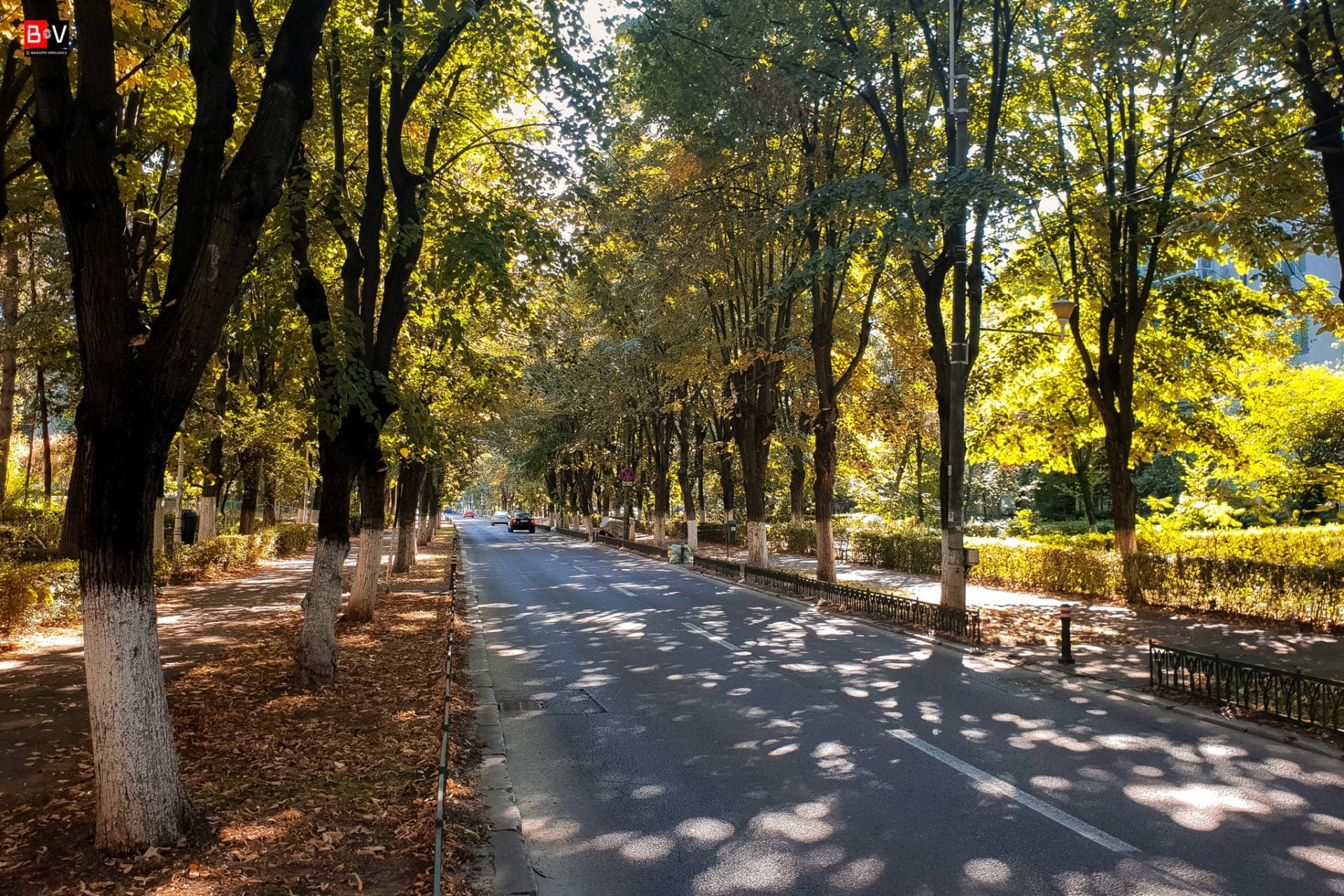 strada cameliei ploiesti