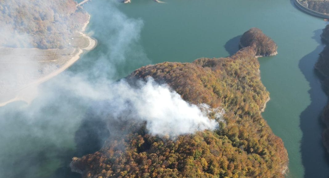 incendiu padure paltinu