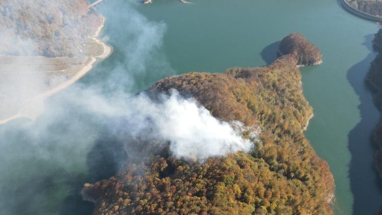 incendiu padure paltinu