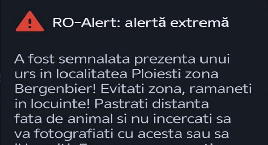 mesaj ro-alert