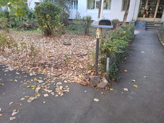 mizerie cosuri de gunoi ploiesti
