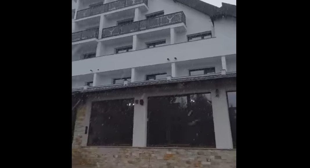 ninsoare