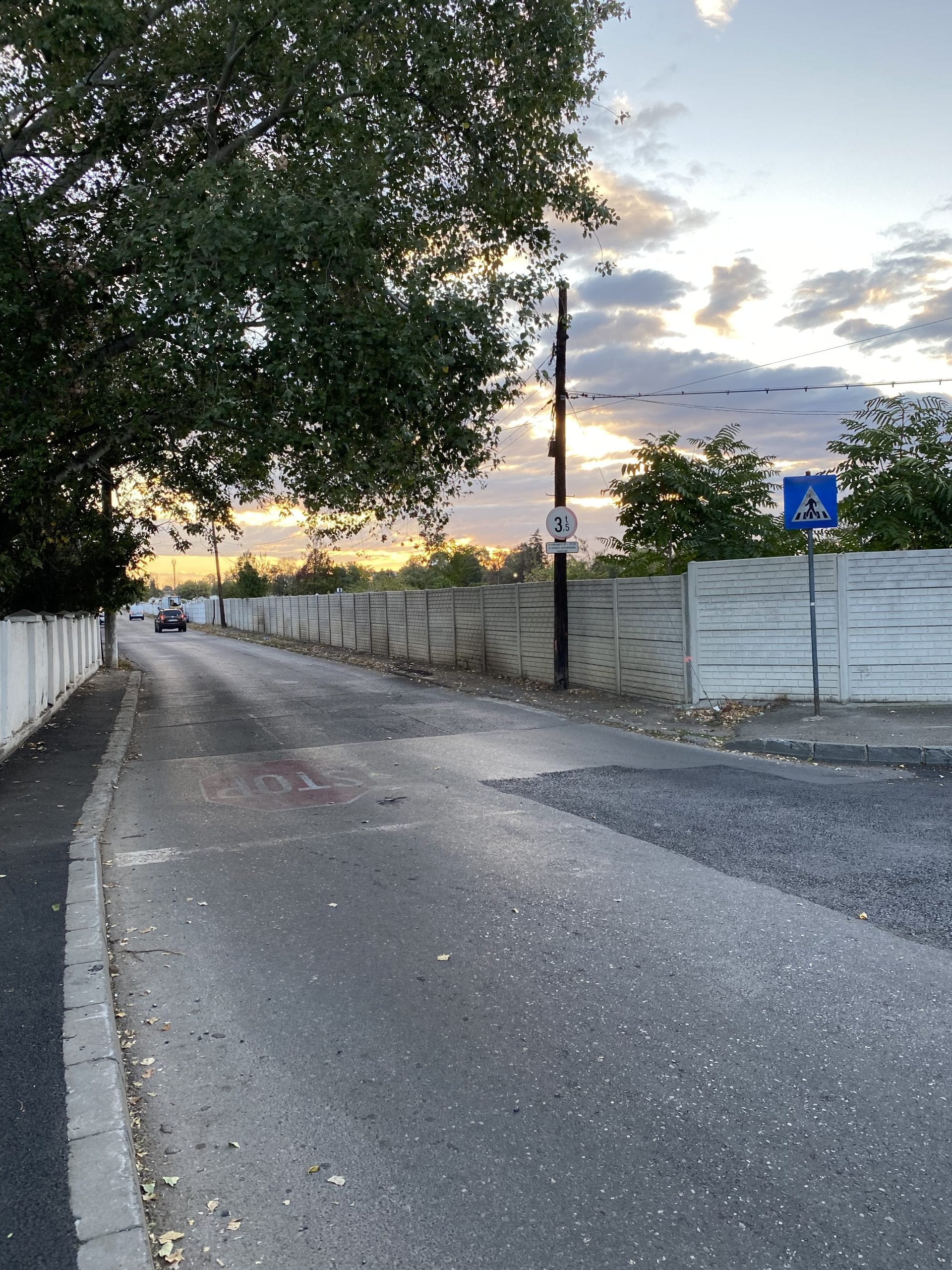 trecere pietoni stearsa ploiesti