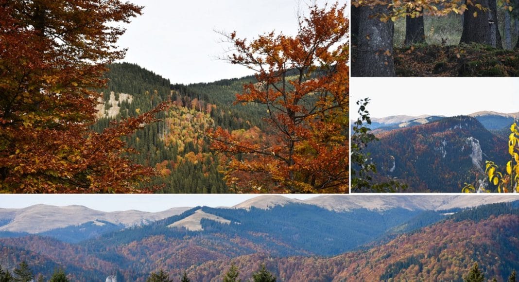 Parcul Natura Bucegi