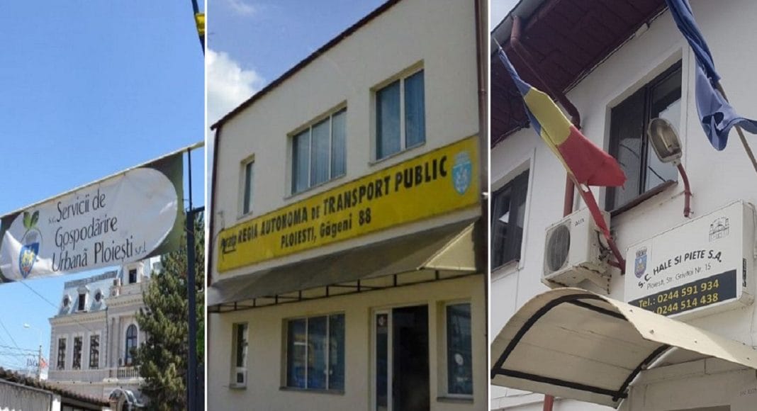 TCE Ploiesti SGU Hale