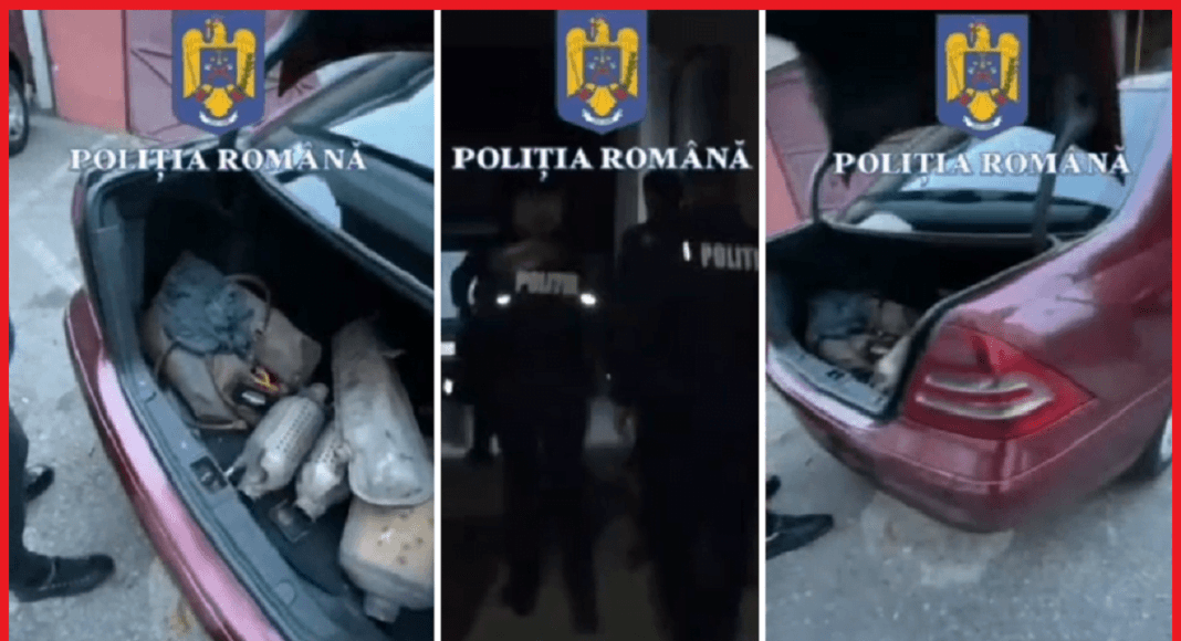 perchezitii furturi catalizatoare auto