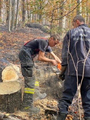 incendiu padure baraj paltinu