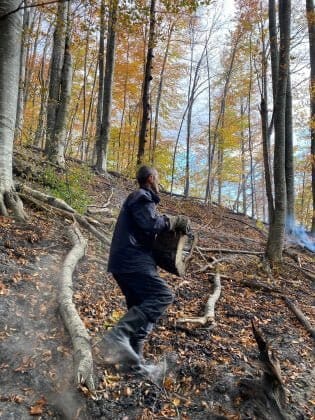 incendiu padure baraj paltinu