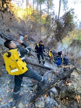incendiu padure baraj paltinu