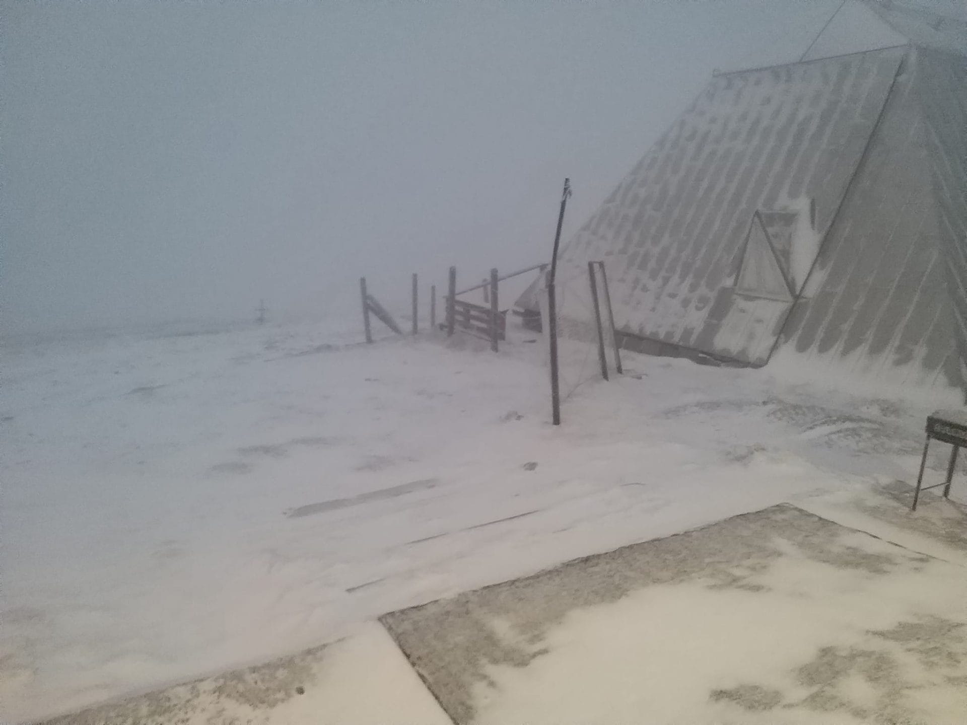 ninsoare bucegi