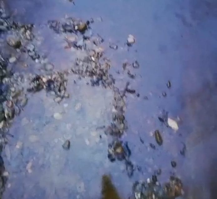 Poluare Prahova (Surani și Cărbunești)