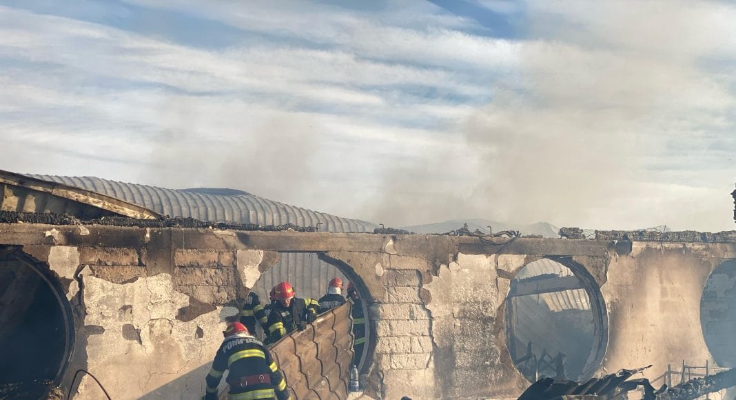 incendiu ferma dacilor