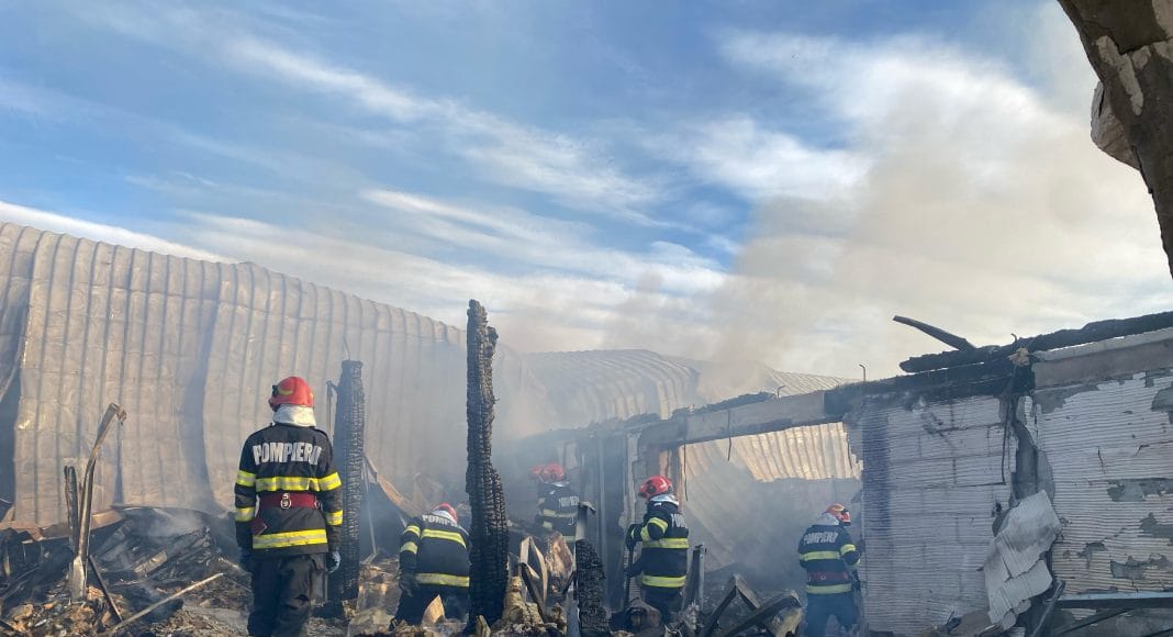 incendiu ferma dacilor