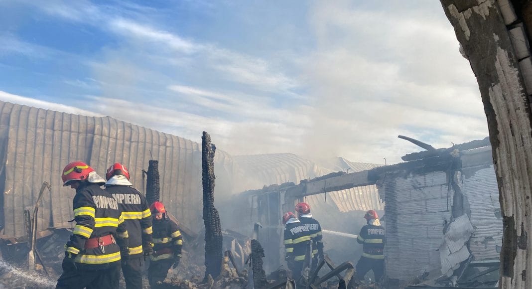 incendiu ferma dacilor
