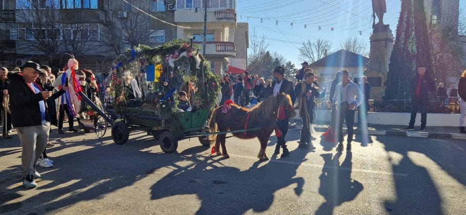 plugul mare urlati
