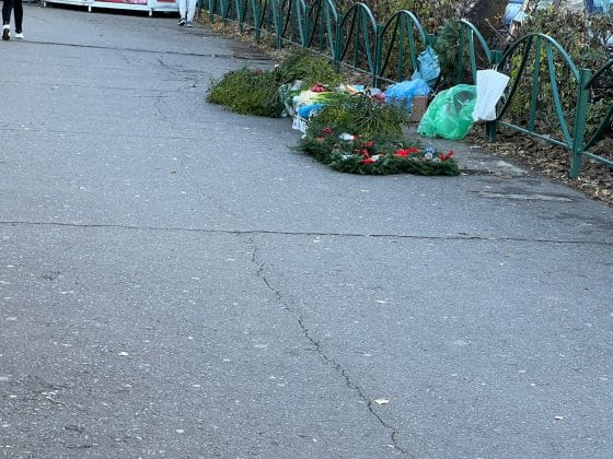 targ craciun ploiesti