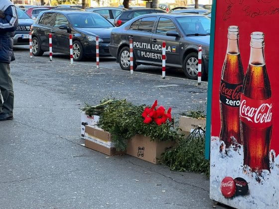 targ craciun ploiesti