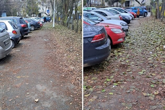trotuar frunze mizerie ploiesti