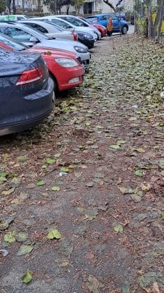 trotuar frunze mizerie ploiesti