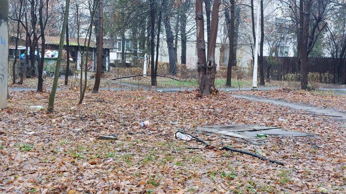 carare boschetar parc eminescu
