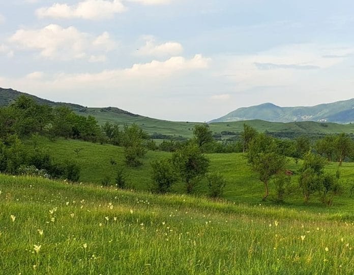 peisaj