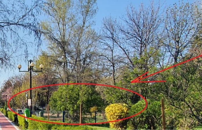 zona pentru câini Parcul Mihai Viteazul