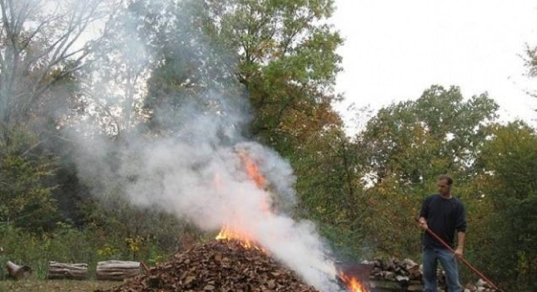 foc resturi vegetale