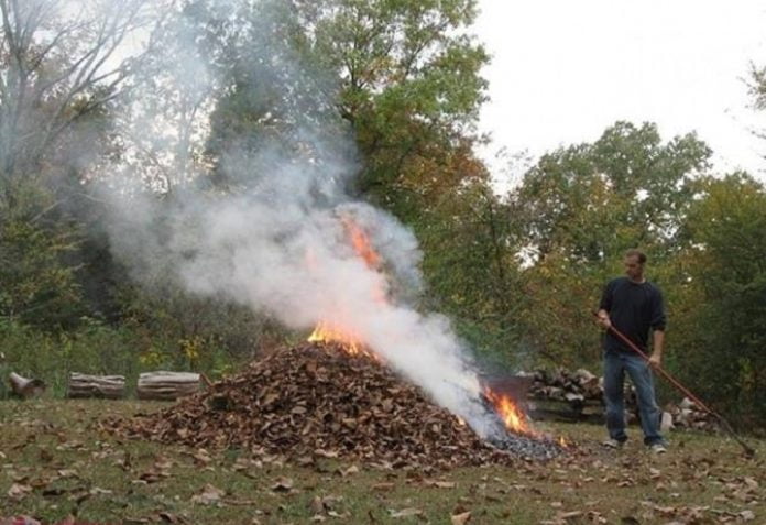 foc resturi vegetale